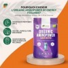 Energy Feelings Vegan Protein Powder 80% 500g, Protéine Végétale Bio en Poudre pour Maigrir, Grossir et Musculation, Protéine