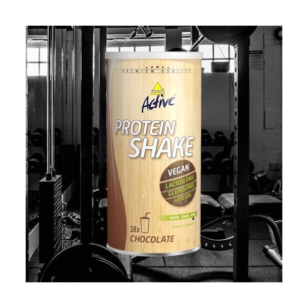 Inkospor ACTIVE Protein Définition Tonification et Perte de Poids Shake sans Lactose Chocolat 450 g Mélange de protéines