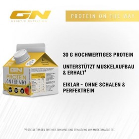 GN Laboratories Protein on the Way 6 x 300 ml Mango - Practical Lactose Celebration Egg Clear Protein Drink - Ideal for Mus
