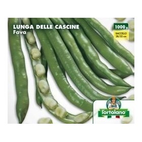 FAVA LUNGA DELLE CASCINE GR 500