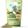 NaturaleBio Protéine de Chanvre en Poudre 500 g - Proteine en Poudre pour Personnes Actives - Idéal pour Régimes Sans Gluten,...
