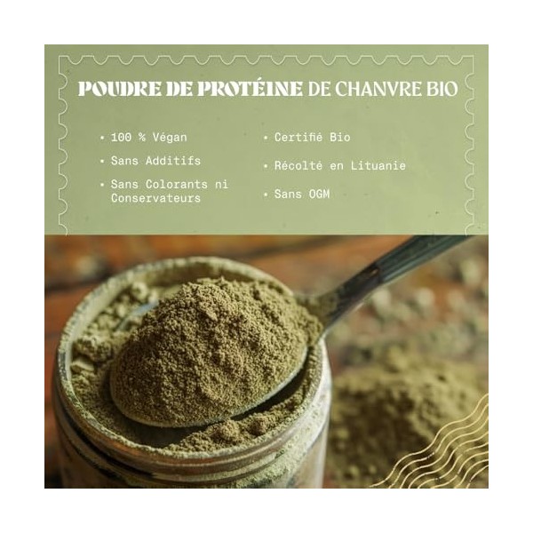 NaturaleBio Protéine de Chanvre en Poudre 1 kg - Proteine en Poudre pour Personnes Actives - Idéal pour Régimes Sans Gluten, 