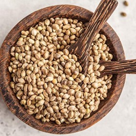 Graines de chanvre bio non épluchées et non torréfiées de France - 2 kg - Graines de chanvre - Végétalées, faible teneur en g