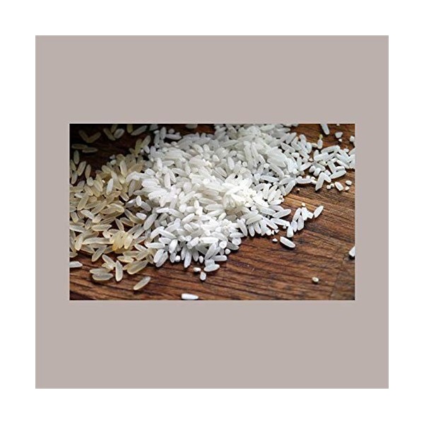 Lucgel Srl 1 kg de protéine de riz végétale hydrolysée en poudre pour les végétaliens et les intolérances alimentaires