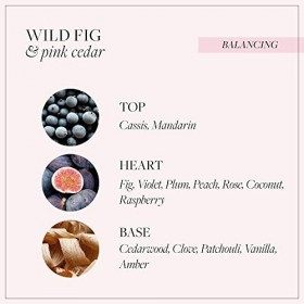 Grace Cole Wild Fig & Pink Cedar Body Mist, Hydrating Formula, Light on Hair and Skin, Leaves you Feeling and Smelling Fresh 