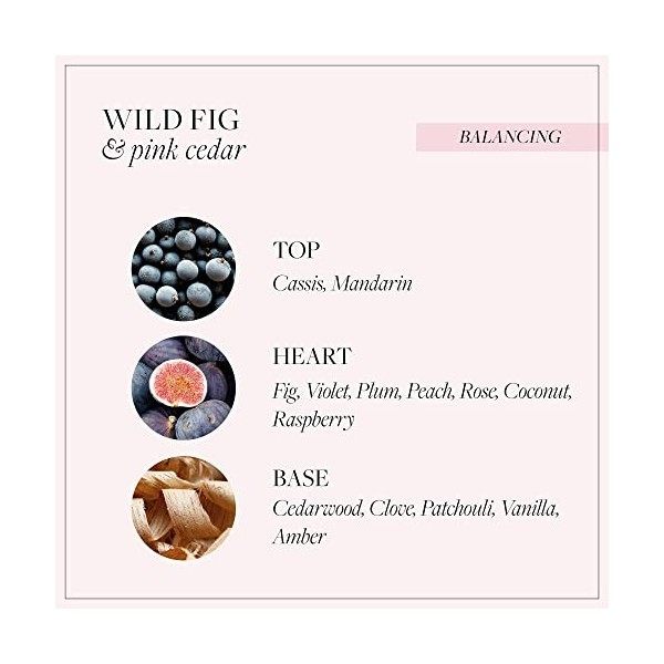 Grace Cole Wild Fig & Pink Cedar Body Mist, Hydrating Formula, Light on Hair and Skin, Leaves you Feeling and Smelling Fresh 