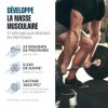 Impulse Nutrition - Whey Isolate Chocolat - Protéines et BCAA - 25g Protéines/Portion - Digestion Facilitée - Faible en Sucre...