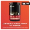 Optimum Nutrition Gold Standard 100% Whey, Poudre de Protéines pour Construction et Récupération Musculaire, avec Glutamine e...