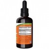 NOW Foods Echinacea Extract - 59 ml.