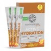 Sunwarrior Active Hydration Stick Packs 18x7g Ananas juteux - Intra- et post-entraînement - Intra-entraînement