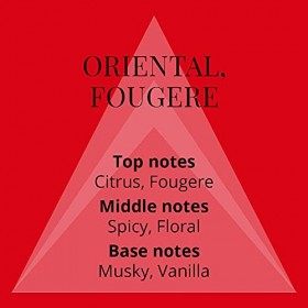 Milton-Lloyd Bondage Parfum Homme Spray 150 ml