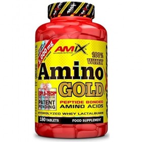 AMIX - Supplément alimentaire Whey Amino Gold sur 180 tablettes - Aide à éviter la dégradation musculaire - Contribue à laug