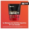 Optimum Nutrition Gold Standard 100% Whey, Protéine en Poudre, Goût Double Chocolat Riche, 465g, 15 Doses Protéines whey