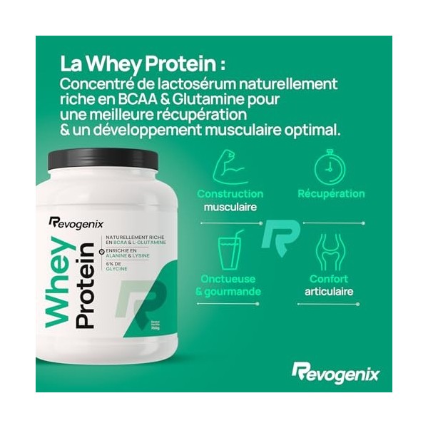 Whey Protein | 25g de Protéines par Shaker | Riche en BCAA et Glutamine | Enrichie en Glycine | Musculation Rapide & Sèche | ...