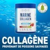 Applied Nutrition Collagène Marin en Poudre – Collagène Hydrolysé pour Peau, Cheveux et Ongles – 300g, Arôme Fraise Citron P ...