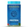 SUNWARRIOR Blend Protéine Vanille 3.0 375 g 1 Unité Protéines whey