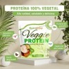 NutriEnjoy - Protéines végétaliennes 800 g | Protéines végétaliennes 100 % végétales de qualité supérieure | Protéines végéta
