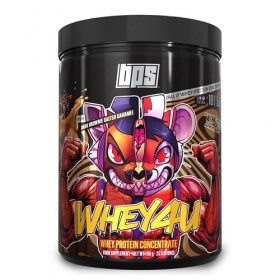 BPS Pharma WH3Y 4U Whey Protein avec isolat 700 g brownie foncé 