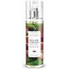 Brume Parfumée Fruits Rouges Eau de Framboise 250ml - Les Petits Bains de Provence