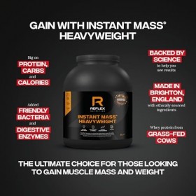 Instant Mass Heavyweight, Chocolate Perfection - 2000g Protéines whey