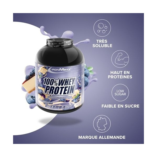 IronMaxx 100% Whey Protein Blueberry Cheesecake – Poudre de protéines de lactosérum hydrosoluble - Riche en protéines - Conti...
