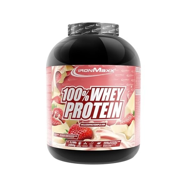 IronMaxx 100% Whey Protein Blueberry Cheesecake – Poudre de protéines de lactosérum hydrosoluble - Riche en protéines - Conti...