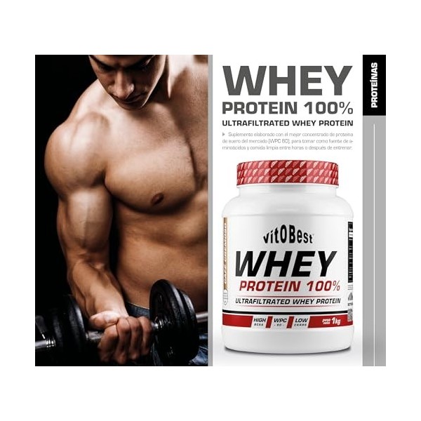 VITOBEST WHEY Protein 100% Maria BISCUI