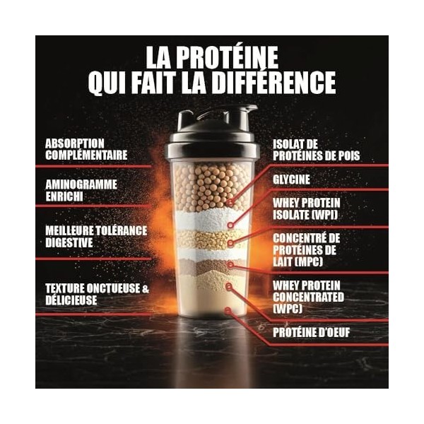 ISO FUSION - 81% de protéines, 9g d’EAA dont 4g de BCAA par shaker - Complexe 5 sources - Haute Digestibilité & Absorption - ...