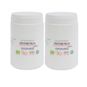 Benessence - Protéines végétales de la citrouille biologique en poudre - 2x500g - avec 60% de protéines pour le bien-être des