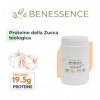 Benessence - Protéines végétales de la citrouille biologique en poudre - 2x500g - avec 60% de protéines pour le bien-être des