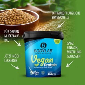Bodylab24 Vegan Protein Chocolat-Nougat 1000g, poudre de protéines 100% végétalienne à base de féveroles, de pois et de grain