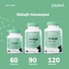 Osavi Shilajit Himalaya - 120 capsules végétaliennes | Résine naturelle Asphaltum punjabianum de lHimalaya | Normalisé aux
