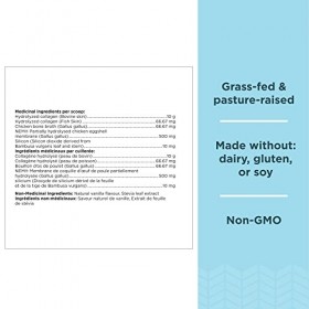 ANCIENT NUTRITION Multi Collagen Protein - Vanilla 242g