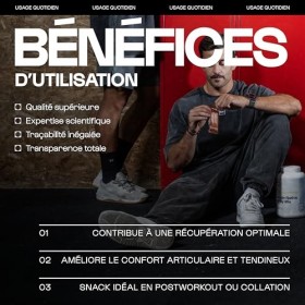 Barres Protéine & Collagène - Lot de 4 - Cacao - 33% de protéine par barre - Sans sucre - Whey Native + Collagène Hydrolysé -