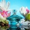 Britney Spears - Curious - Brume Parfumée Femme - Senteur Florale - 236 ml