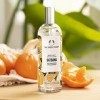 The Body Shop Body Mist, Satsuma, 3.3 Fluid Ounce by The Body Shop