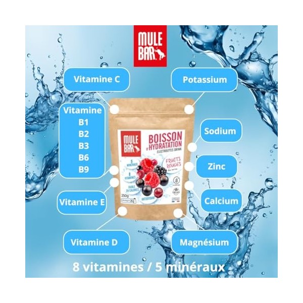 Mulebar Boisson DHydratation En Poudre - Fruits Rouges - Antioxydant - 8 Vitamines - 5 Minéraux - Electrolytes - Goût Très P ...