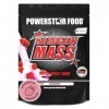 Powerstar HARDGAIN MASS 1600g | GAIN DE POIDS avec créatine & sans ajout de sucre | Masse, force & développement musculaire r...