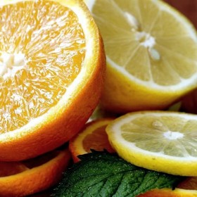 Kendal Mint Co KMC ISO Mix Lot de 24 sachets de poudre électrolyte isotonique et énergisante Parfum citron et menthe Shakes d...