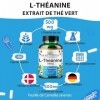 L-Théanine 500 mg – 180 Gélules Véganes – Acide Aminé Hautement Dosé issu du Thé Vert | Approvisionnement de 6 Mois | 98% Pur