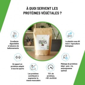 Nutripure | Protéine Vegan Bio | Chocolat | Complément Alimentaire Sport & Musculation | Protéine Végétale de Pois et de Riz,