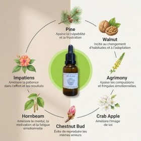 Fleurs de Bach Minceur – Lot 2 x 30 ml – Réduit Fringales & Grignotage Émotionnel – Aide Perte de Poids – Élixir Floral 100% 