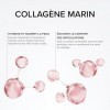 Collagène marin 2000Da + Acide hyaluronique 300mg, haute absorption, types I&III, peau hydratée, Coenzyme Q10, Vitamine C et 