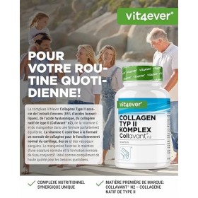 Complexe collagène de type II – avec collagène natif Collavant n2®, extrait d’encens, acide hyaluronique, vitamine C, manganè