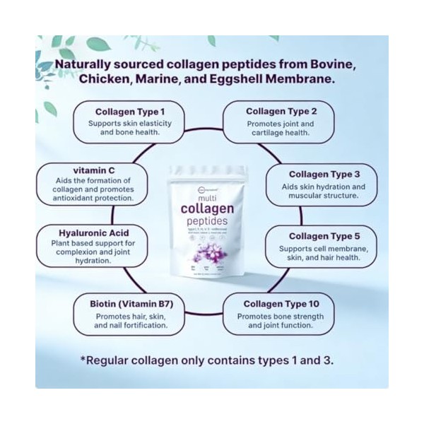 Peptides de collagène multi-effets : favorisent la production de collagène, nourrissent les cheveux, la peau, les ongles et l