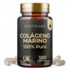 Collagene Marin Hydrolysé | 180 Collagène Marin Gélules, Peptides de Collagène Hydrolysé, Protéines de Collagène - Os, Muscle