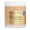 Vild Nord Poudre de Collagène Marin Citronné - 170 g, 30 portions - Peptides de Collagène Hydrolysés Type 1, pour la Peau, le