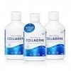 Swedish Nutra - Complément liquide de collagène marin hydrolysé 10 000 mg - 3 x 500 ml 1 500 ml 60 jours dapprovisionnemen Ac...