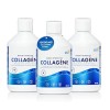 Swedish Nutra - Complément liquide de collagène marin hydrolysé 10 000 mg - 3 x 500 ml 1 500 ml 60 jours dapprovisionnemen Ac...