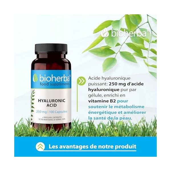Acide Hyaluronique – 100 Gélules de 250 mg | Avec vitamine B2 – par BIOHERBA Acide hyaluronique